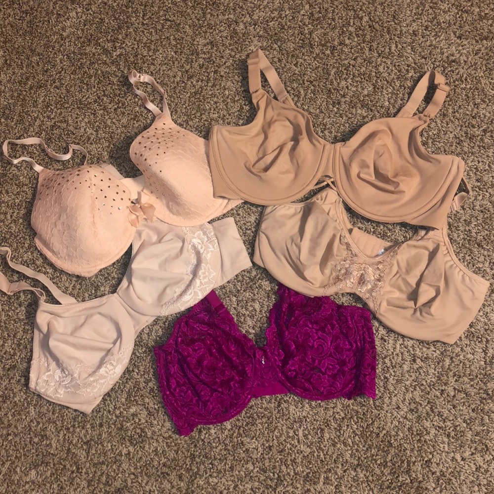 38D Bras